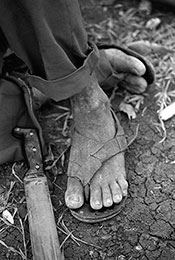 La tierra en disputa