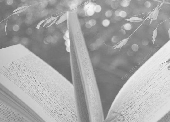 Literatura
