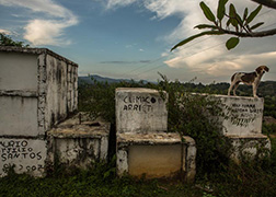 Fotografía por Juan Arredondo
