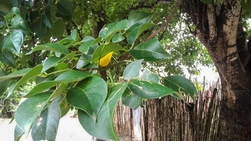image04