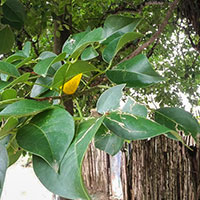 image04