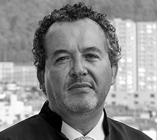 Magistrado Roberto Vidal - Colombia