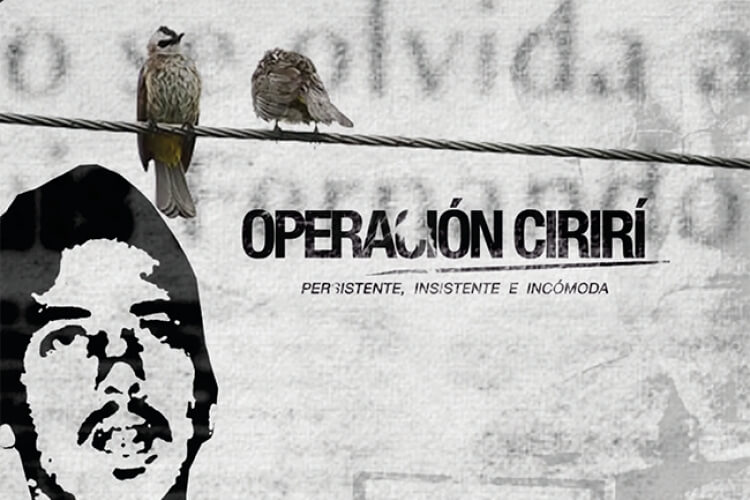 Operación Cirirí. Persistente, insistente e incómoda