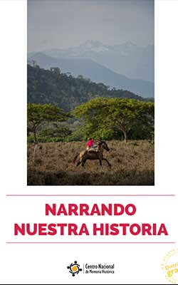 Informe