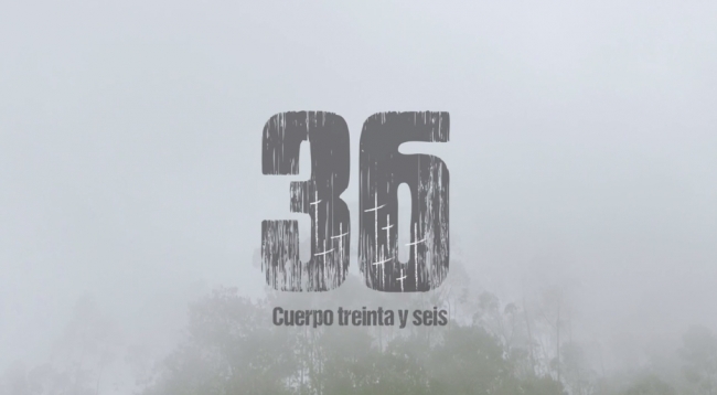 Cuerpo 36