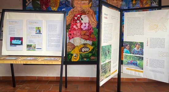 IMH_WEBPAGE_GALERIAS-1