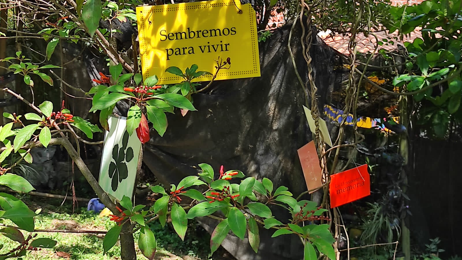 lor a tiempo. Un hilo tejido por la memoria (Comuna 13, Medellín)