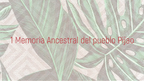 La ACIT. Resistencia y Memoria Ancestral del Pueblo Pijao