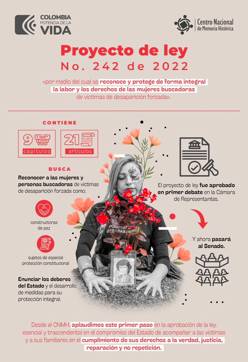 Infografia. Proyecto de ley No. 242 de 2022