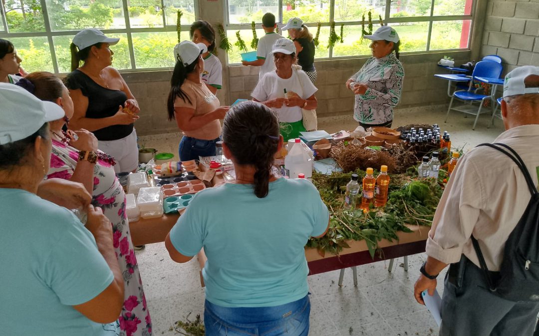 Taller «Memorias que brotan: plantas, territorio y reconciliación»