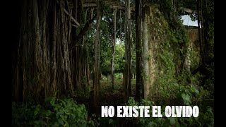 Informe