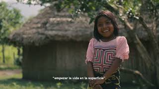 Informe