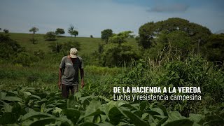Informe