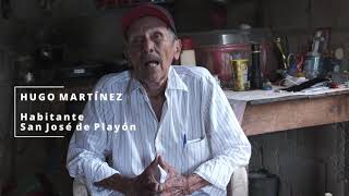 Informe